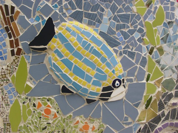 Fish (600 x 450)